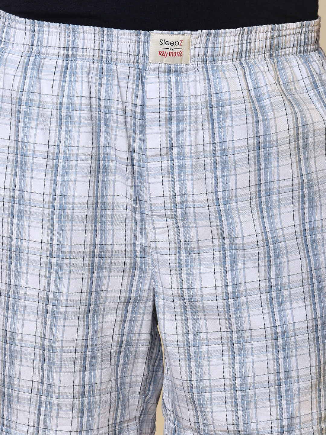 Sleepz Men Blue Checks Regular Fit Cotton Boxer