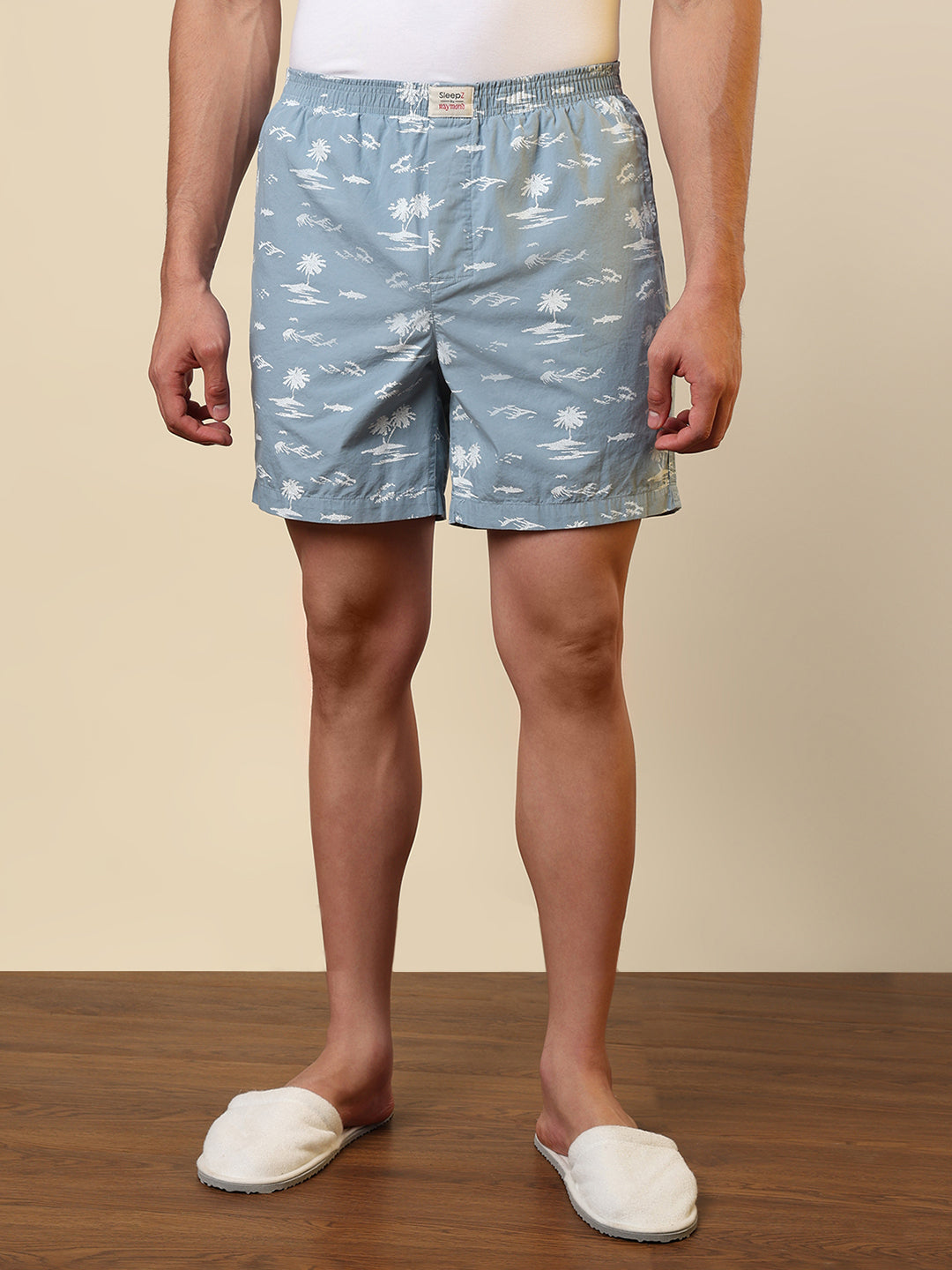 Sleepz Men Grey Printed Boxer