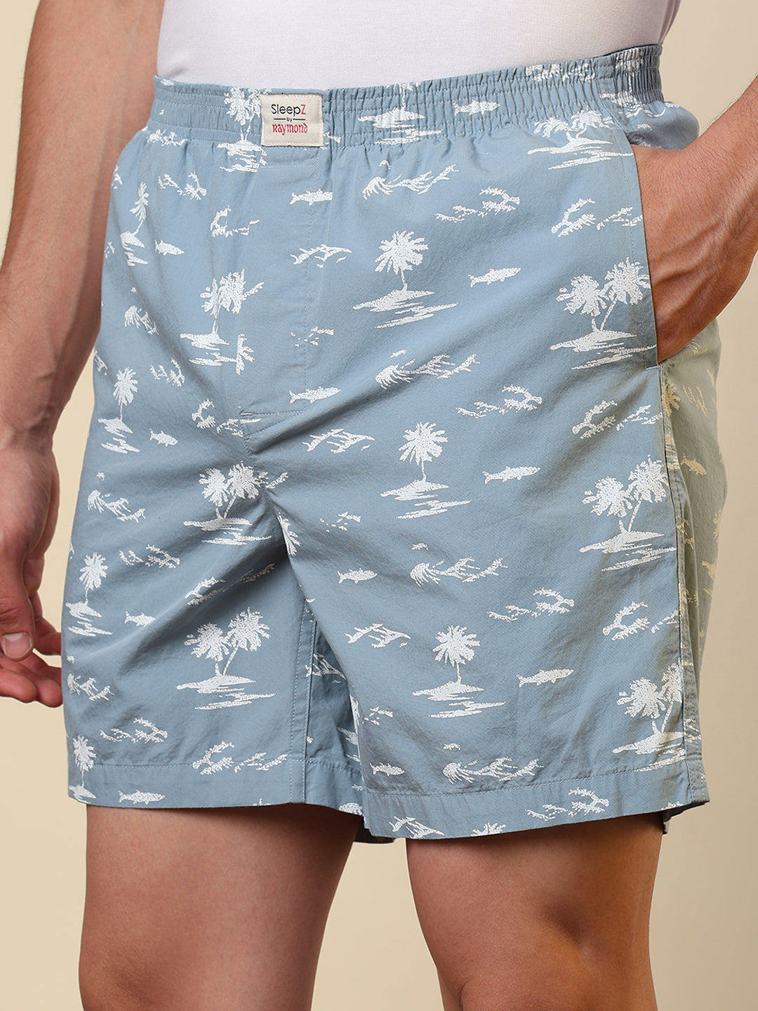Sleepz Men Grey Printed Boxer