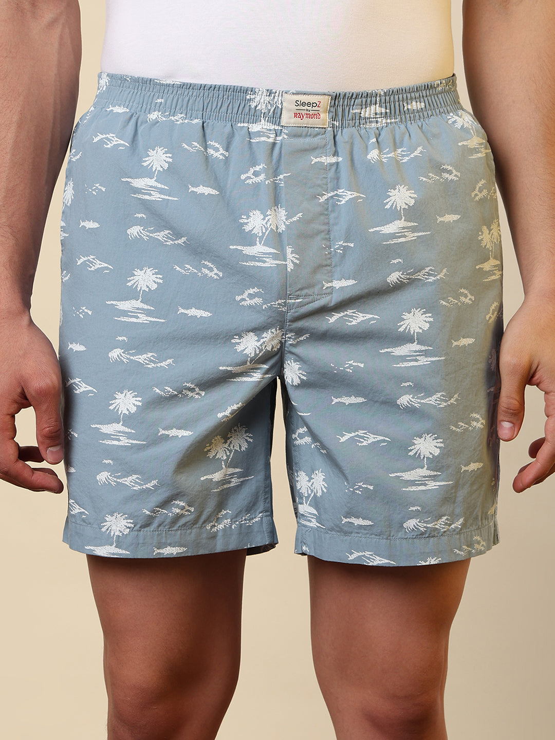 Sleepz Men Grey Printed Boxer