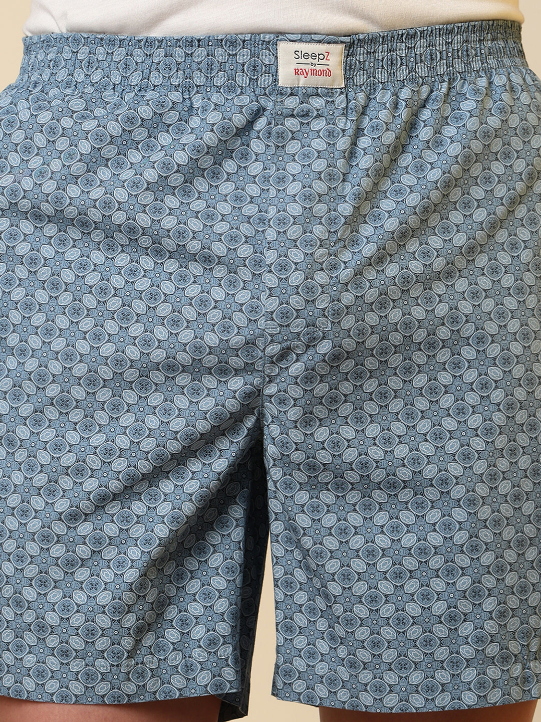 Sleepz Men Blue Printed Boxer