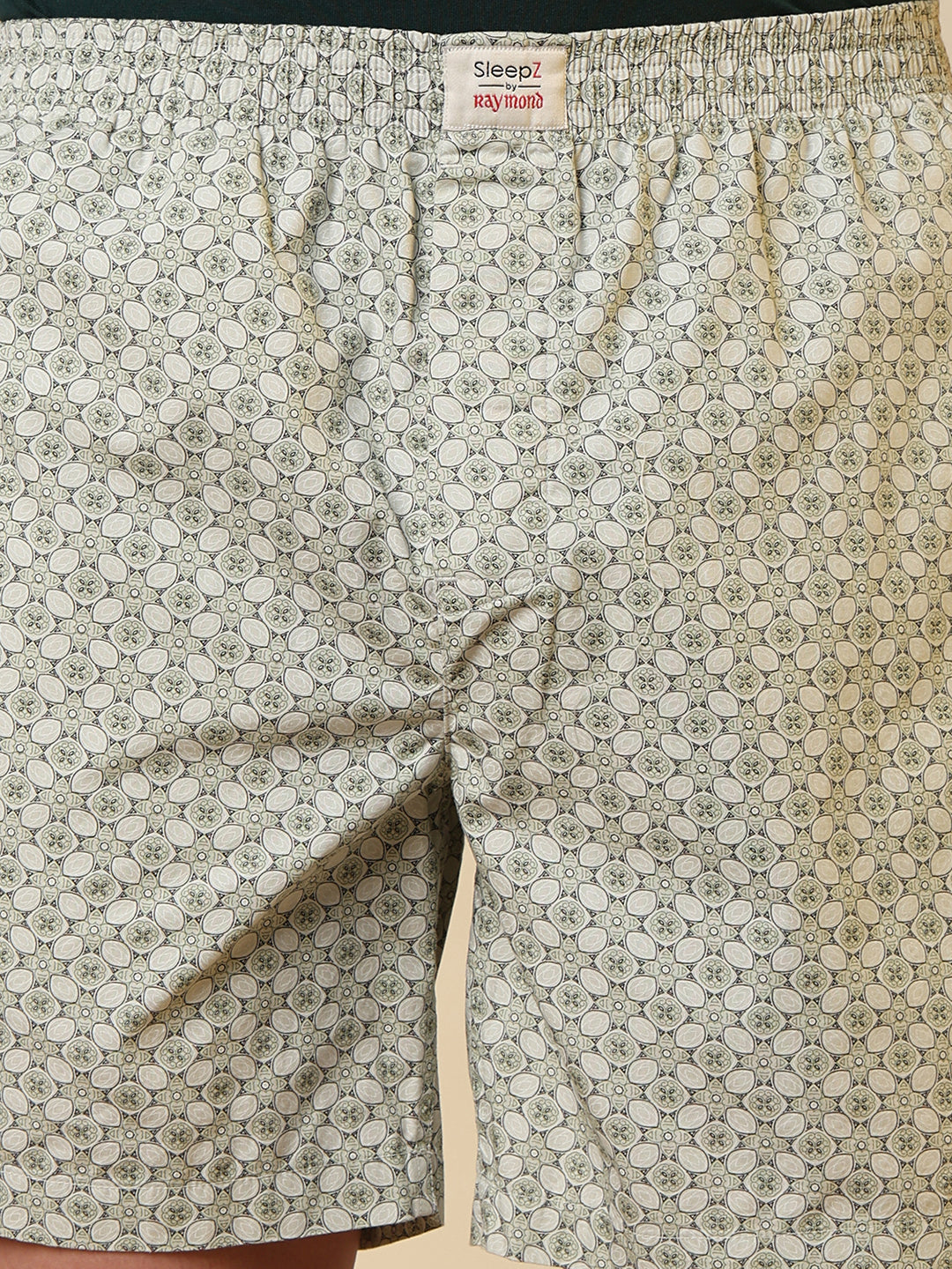 Sleepz Men Green Printed Boxer