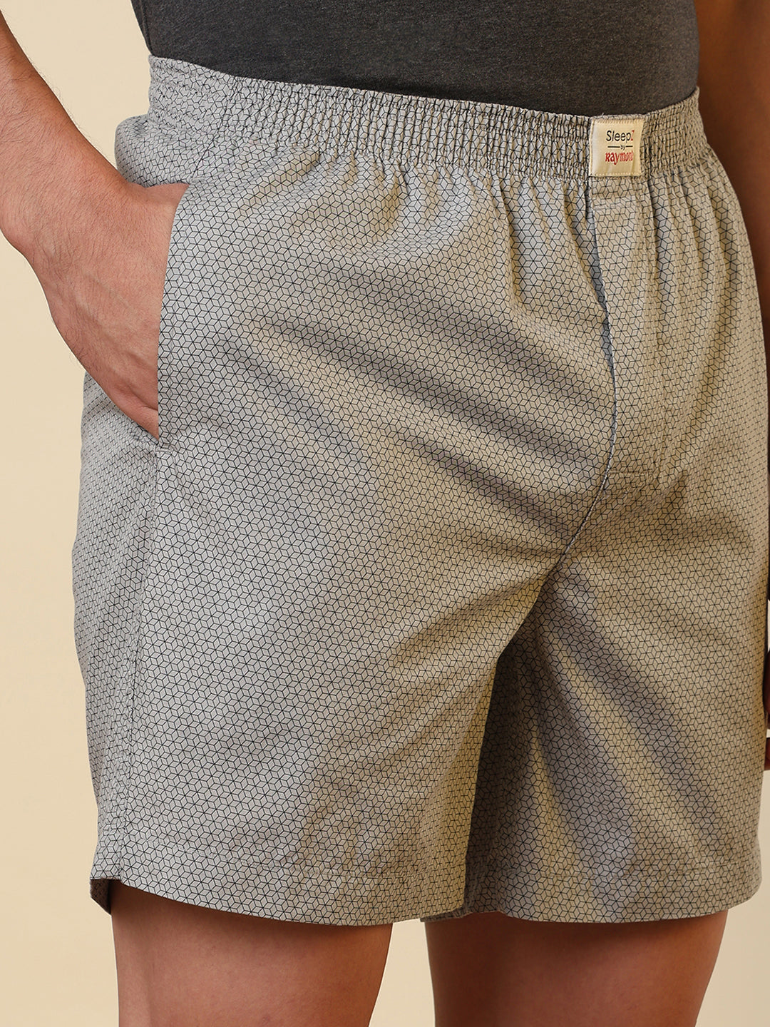 Sleepz Men Grey Printed Boxer