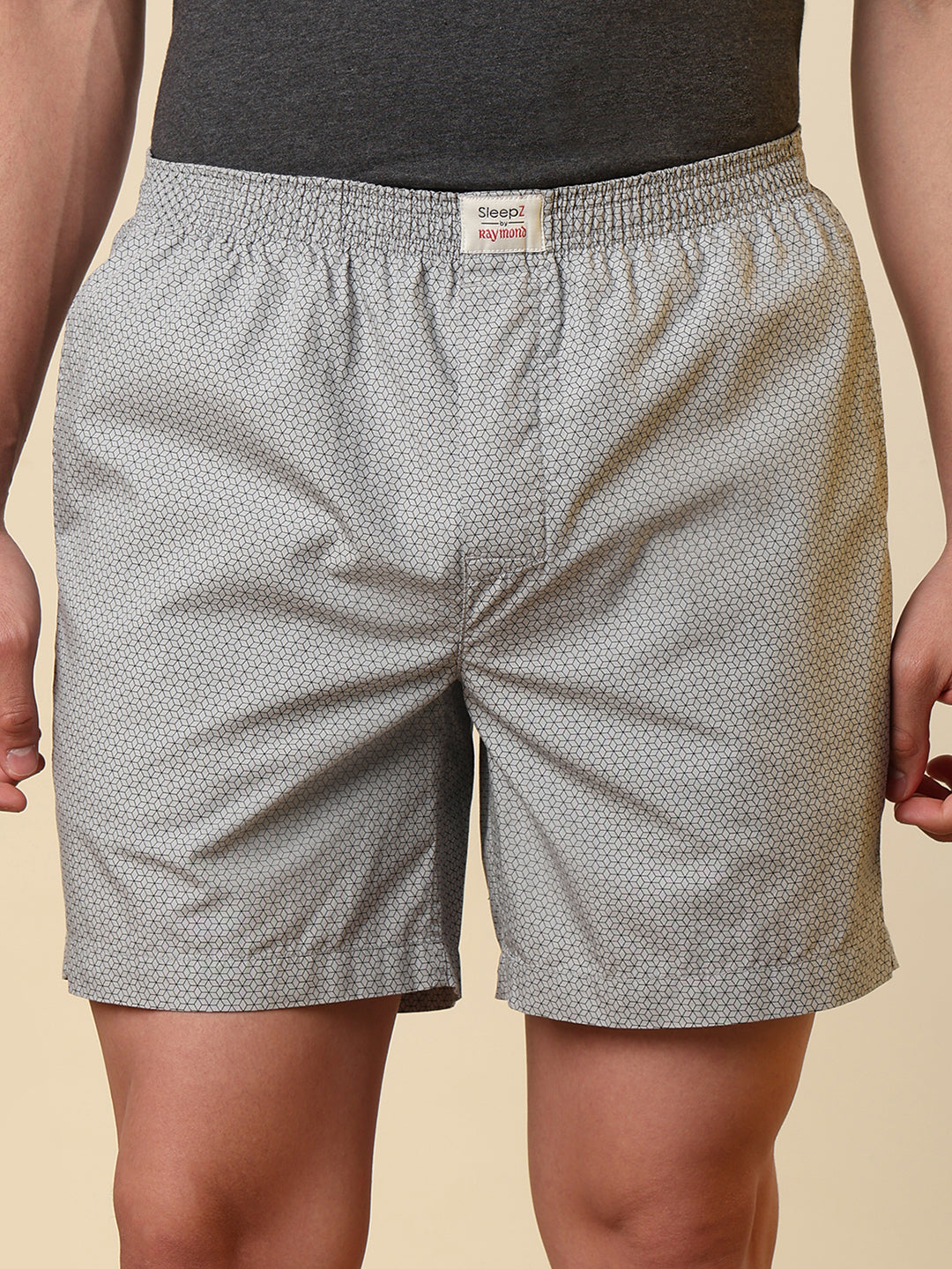 Sleepz Men Grey Printed Boxer