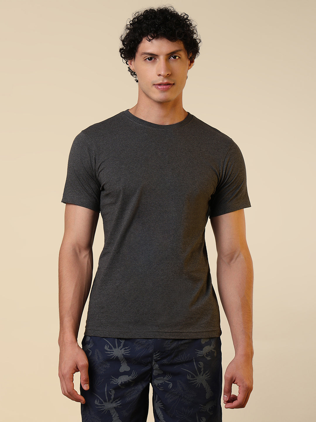 Sleepz Men Grey Regular Fit Solid Round Neck Collar T-Shirt