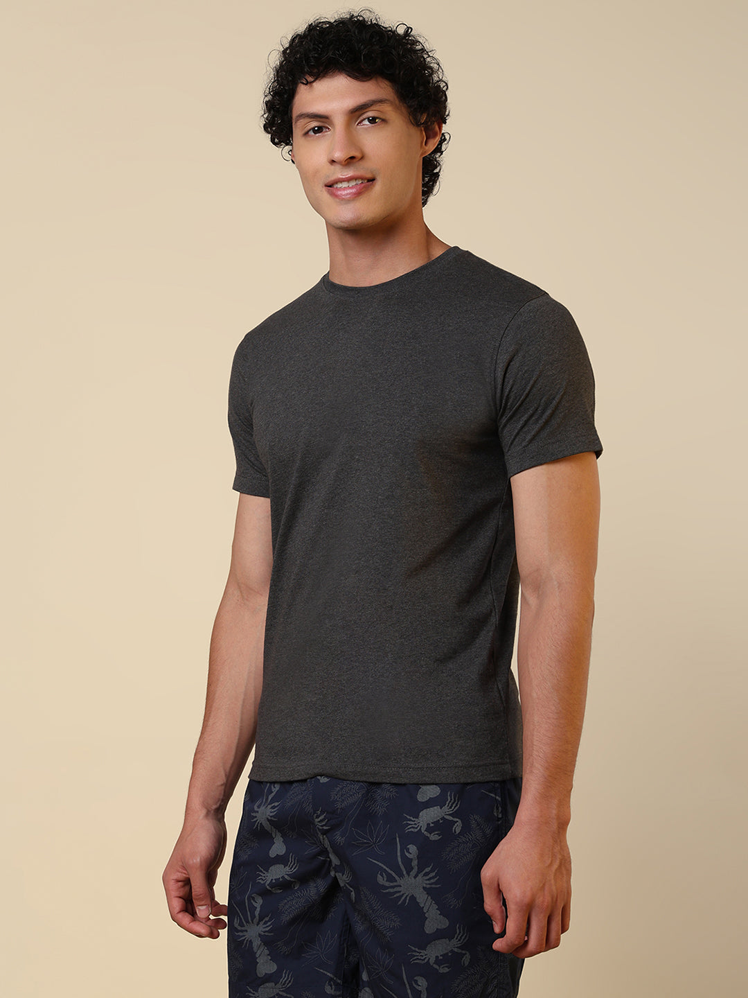 Sleepz Men Grey Regular Fit Solid Round Neck Collar T-Shirt