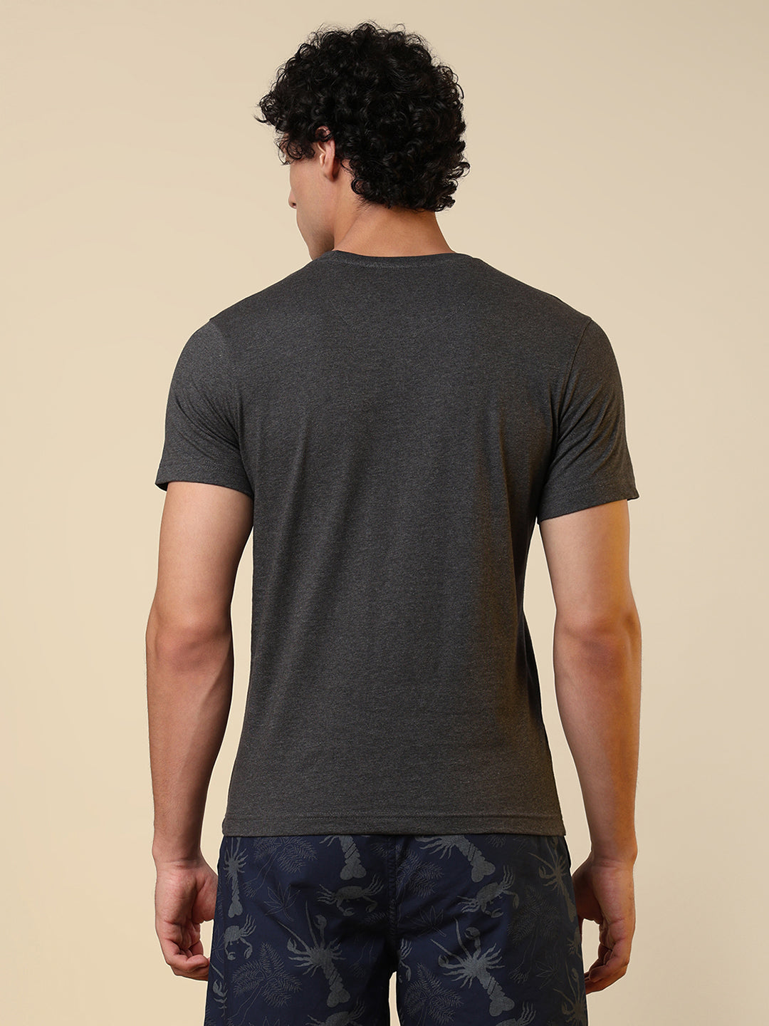 Sleepz Men Grey Regular Fit Solid Round Neck Collar T-Shirt