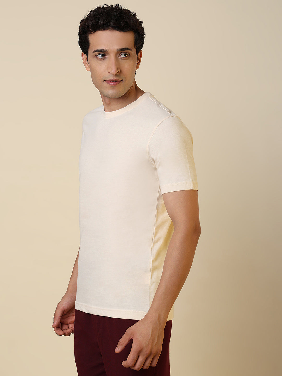 Sleepz Men Brown Regular Fit Solid Round Neck Collar T-Shirt