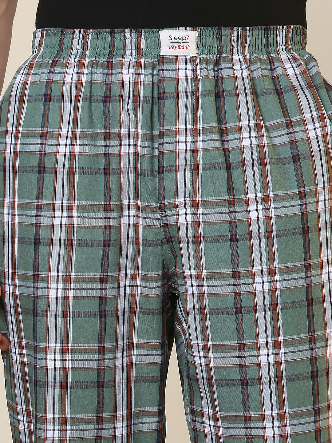 Sleepz Men Green Regular Fit Checks Pyjama