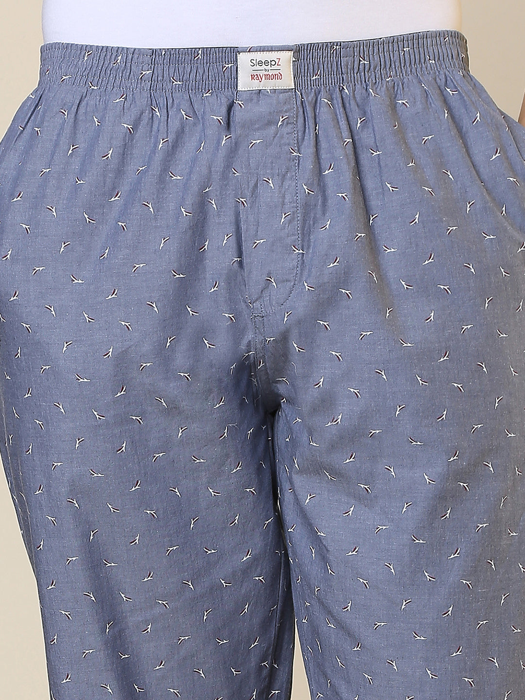 Sleepz Men Grey Regular Fit Printed Pyjama