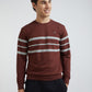 Men Brown Tailored Fit Stripe Cotton Full Sleeve Round Collar Sweatshirts