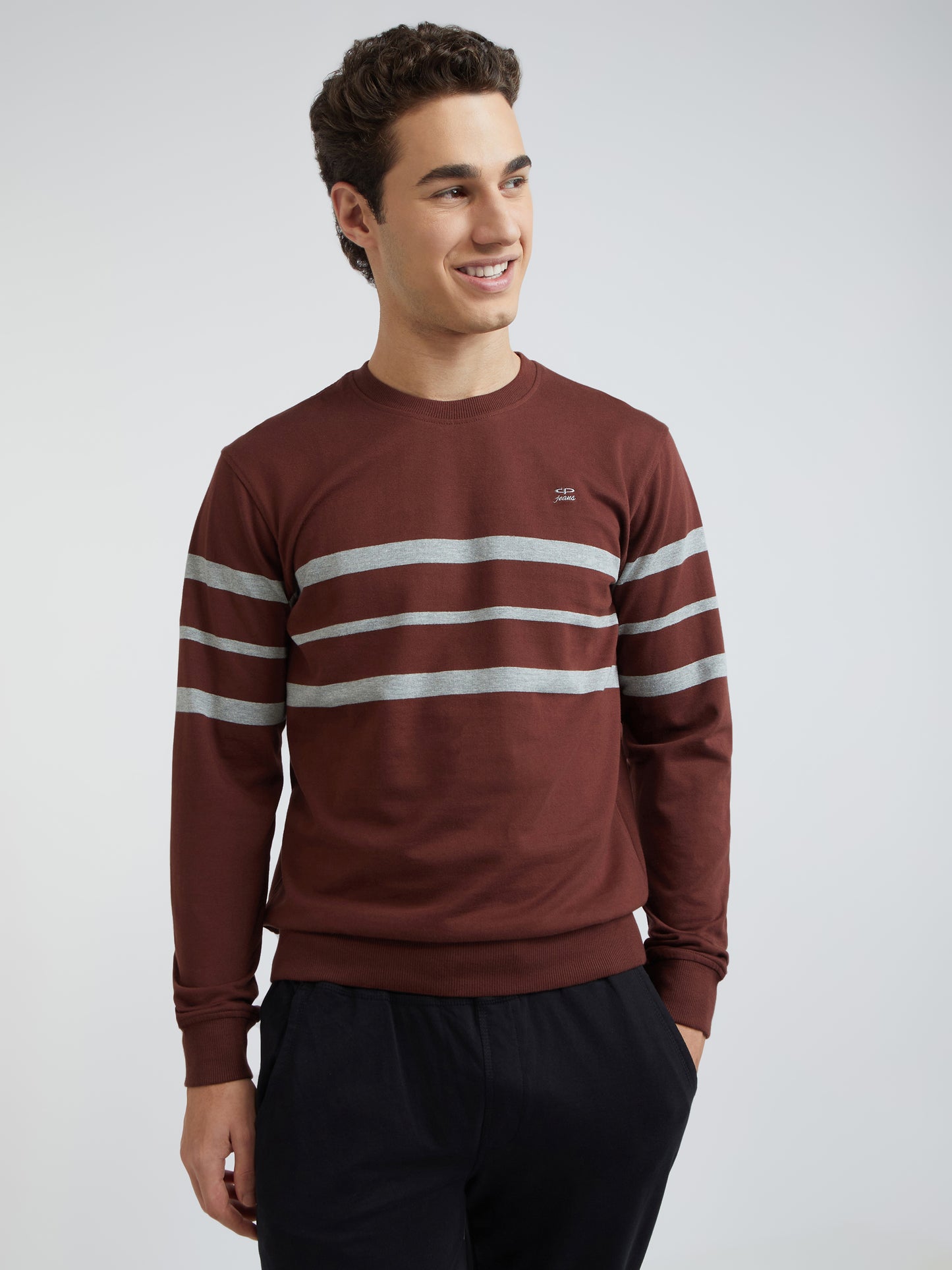 Men Brown Tailored Fit Stripe Cotton Full Sleeve Round Collar Sweatshirts