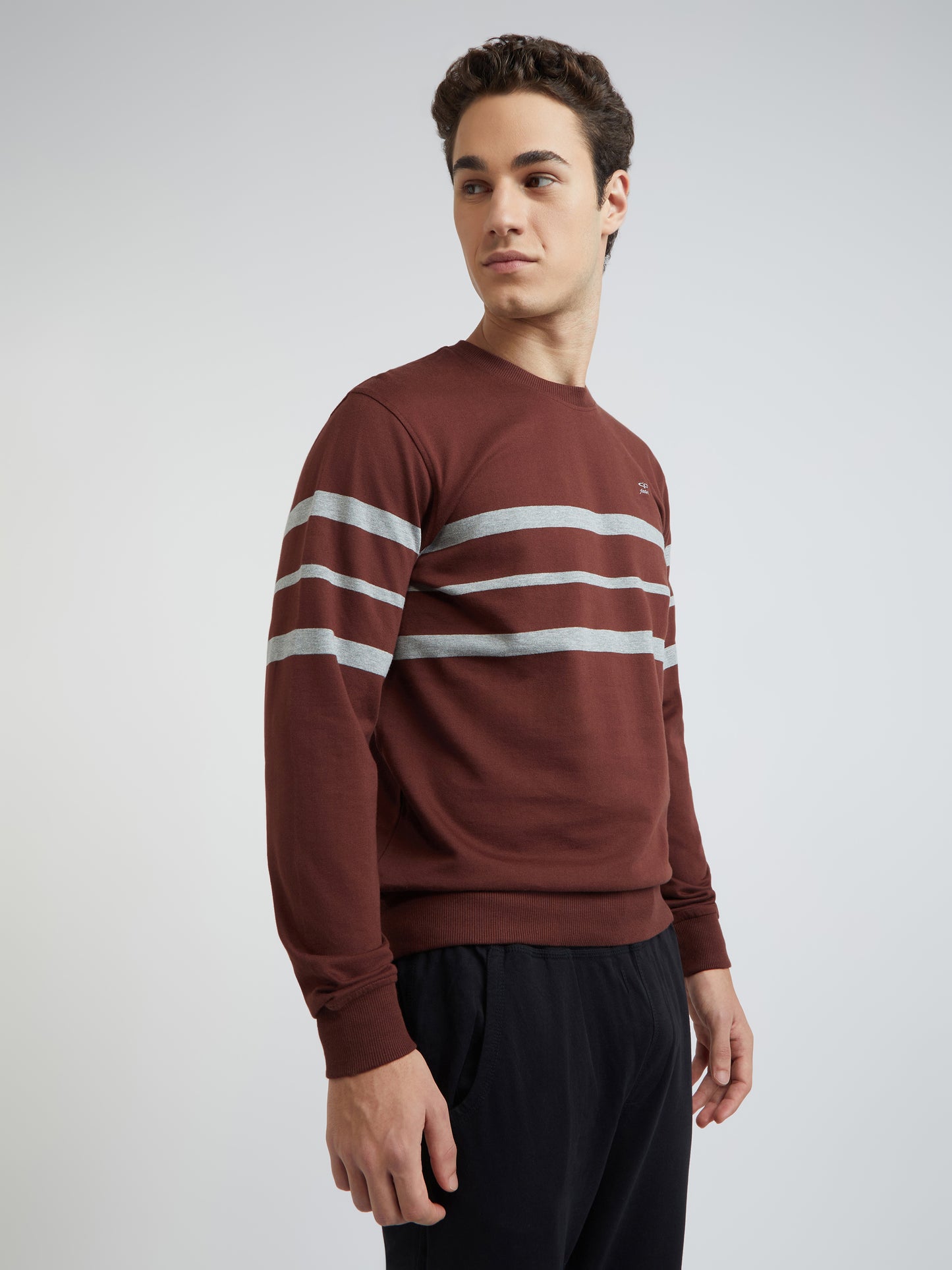 Men Brown Tailored Fit Stripe Cotton Full Sleeve Round Collar Sweatshirts