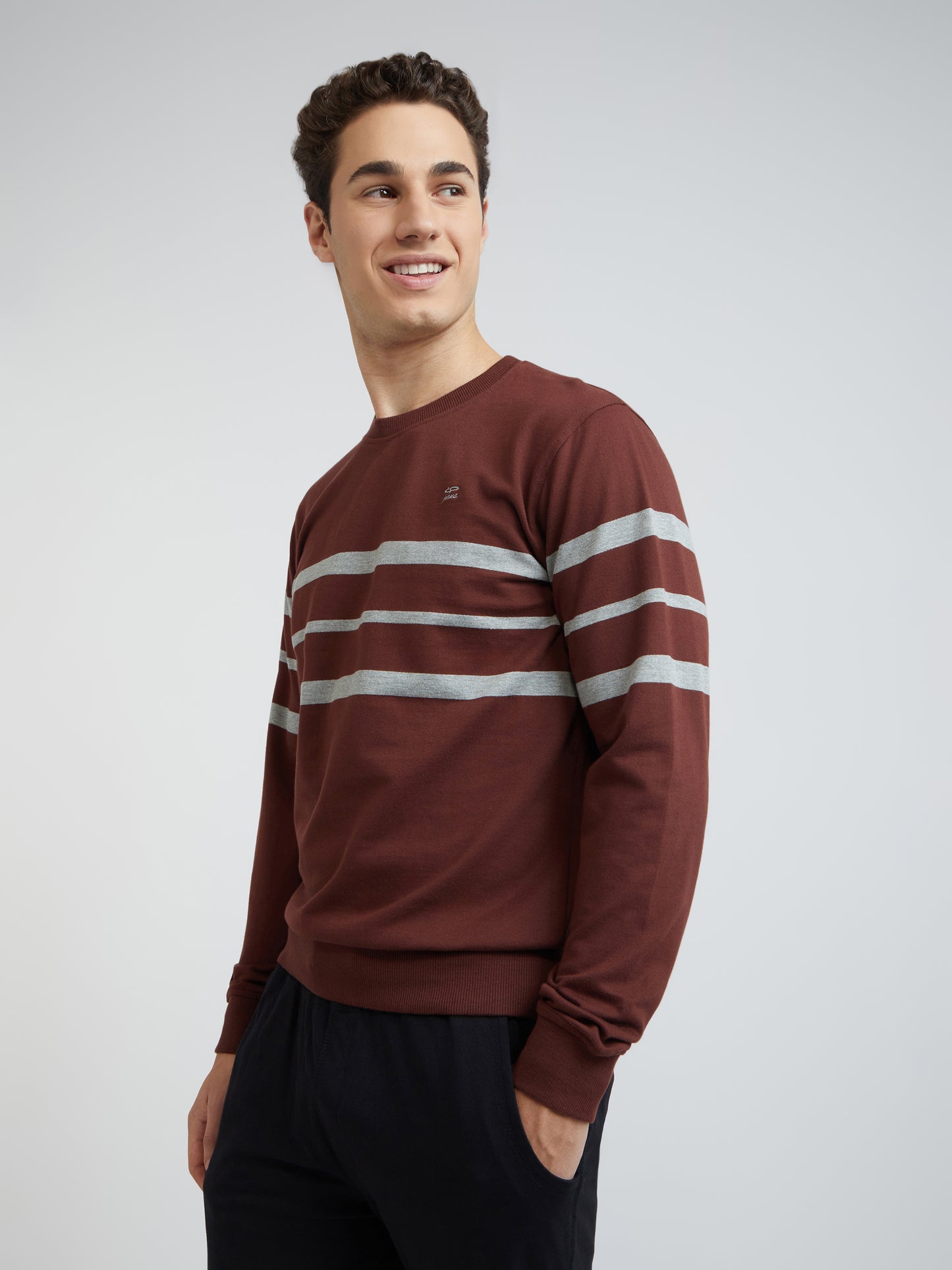 Men Brown Tailored Fit Stripe Cotton Full Sleeve Round Collar Sweatshirts