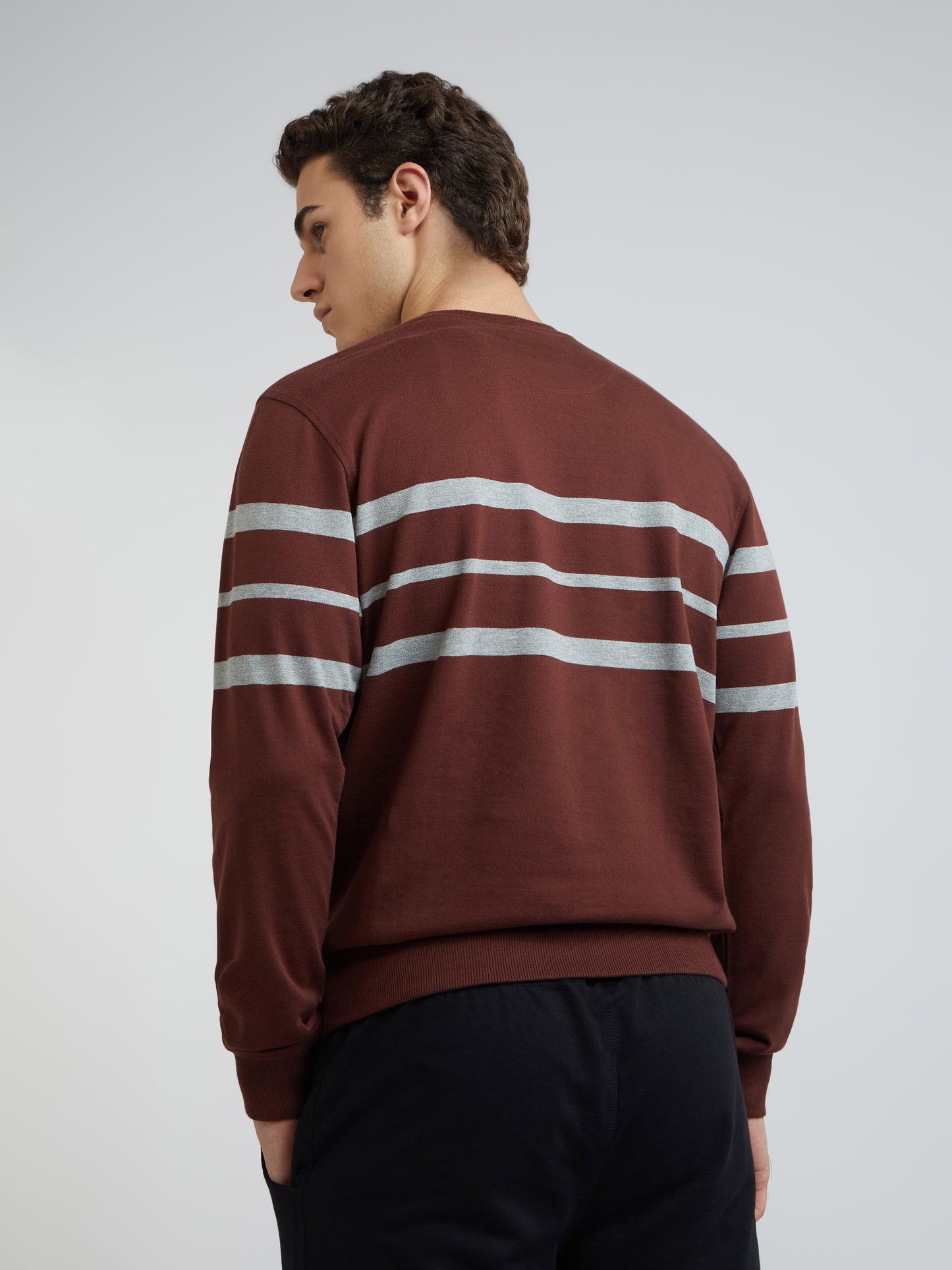 Men Brown Tailored Fit Stripe Cotton Full Sleeve Round Collar Sweatshirts