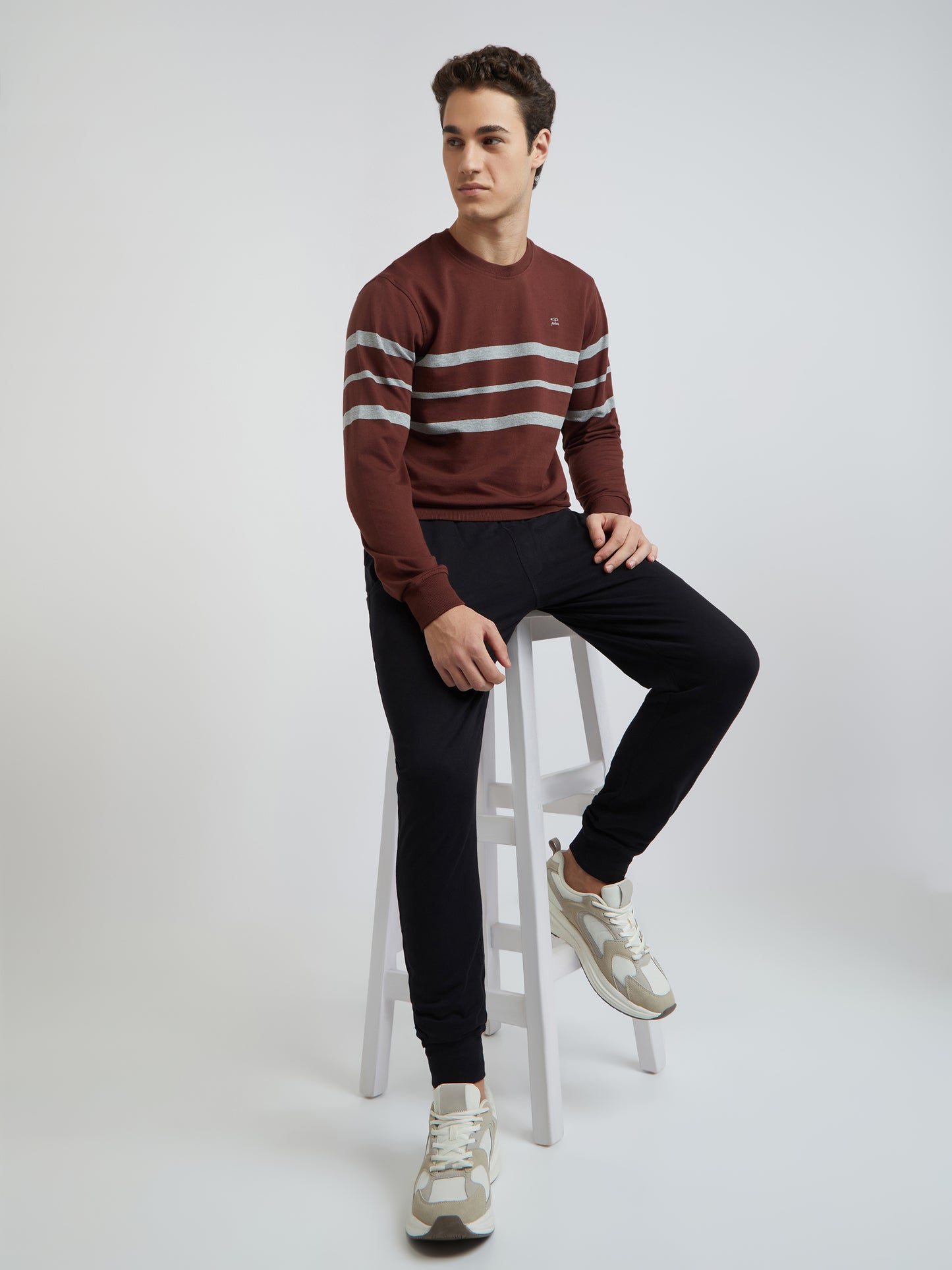 Men Brown Tailored Fit Stripe Cotton Full Sleeve Round Collar Sweatshirts