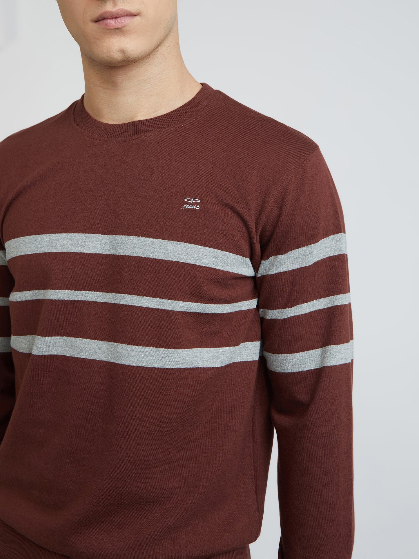 Men Brown Tailored Fit Stripe Cotton Full Sleeve Round Collar Sweatshirts