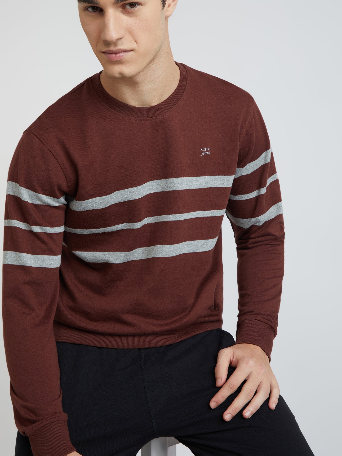 Men Brown Tailored Fit Stripe Cotton Full Sleeve Round Collar Sweatshirts