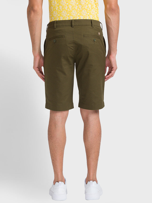 ColorPlus Green Shorts