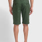 ColorPlus Green Shorts