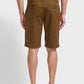 ColorPlus Brown Shorts