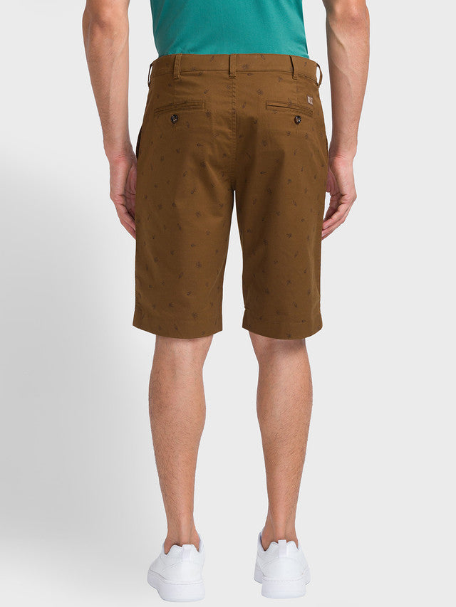 ColorPlus Brown Shorts