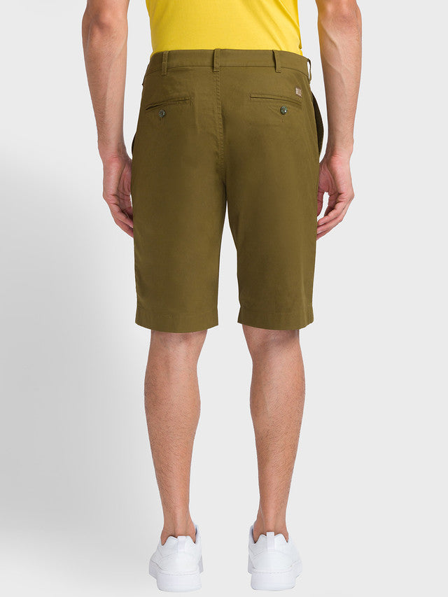 ColorPlus Green Shorts