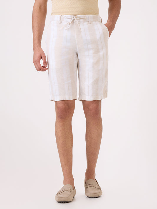 Colorplus Men Brown Stripe Regular Fit Cotton Blend Shorts