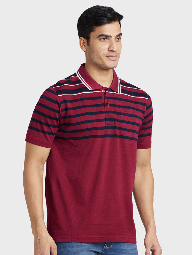 ColorPlus Maroon T-Shirt