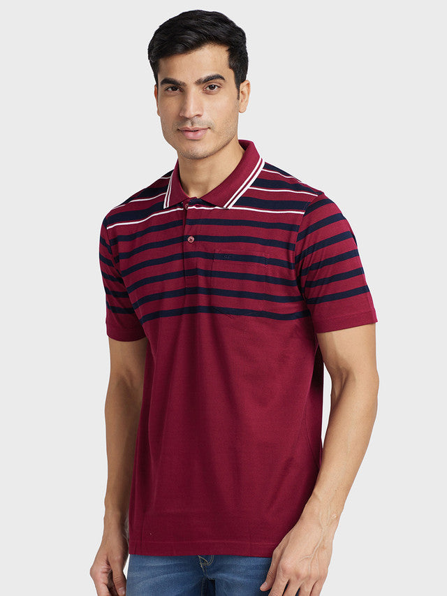 ColorPlus Maroon T-Shirt