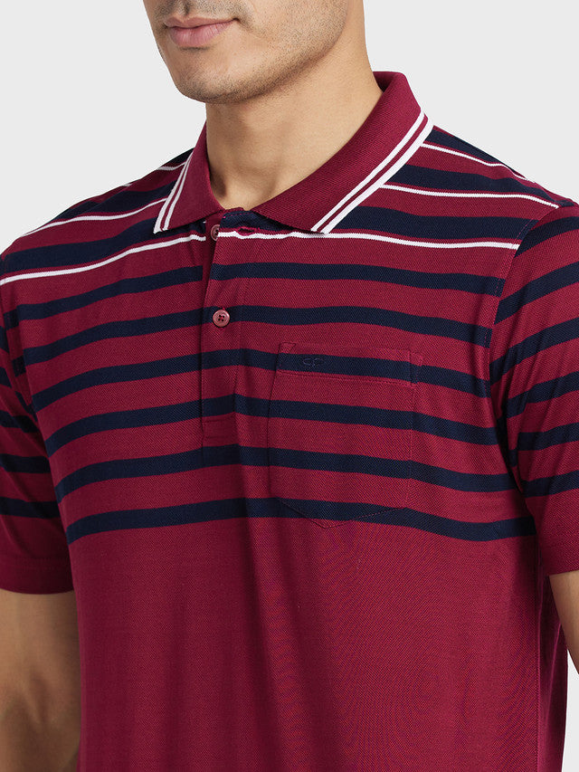 ColorPlus Maroon T-Shirt