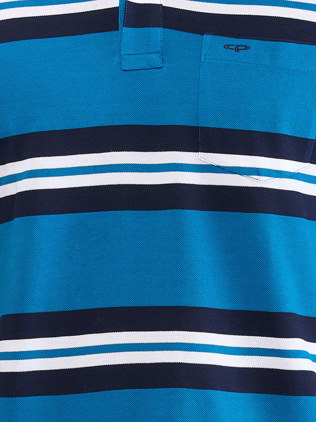 Colorplus Blue Stripe Classic Fit Cotton T-Shirt