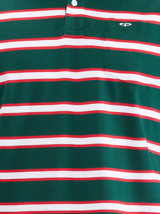 Colorplus Green Stripe Classic Fit Cotton T-Shirt