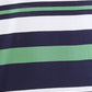 Colorplus Green Stripe Comfort Fit Cotton T-Shirt