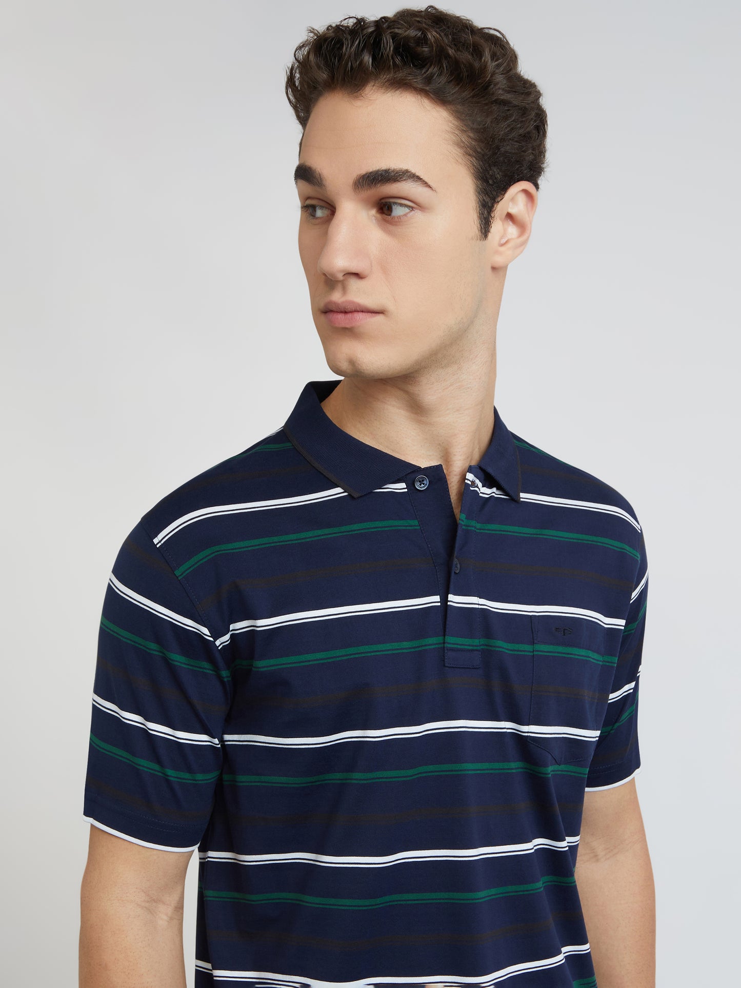 Colorplus Blue Stripe Comfort Fit Cotton T-Shirt