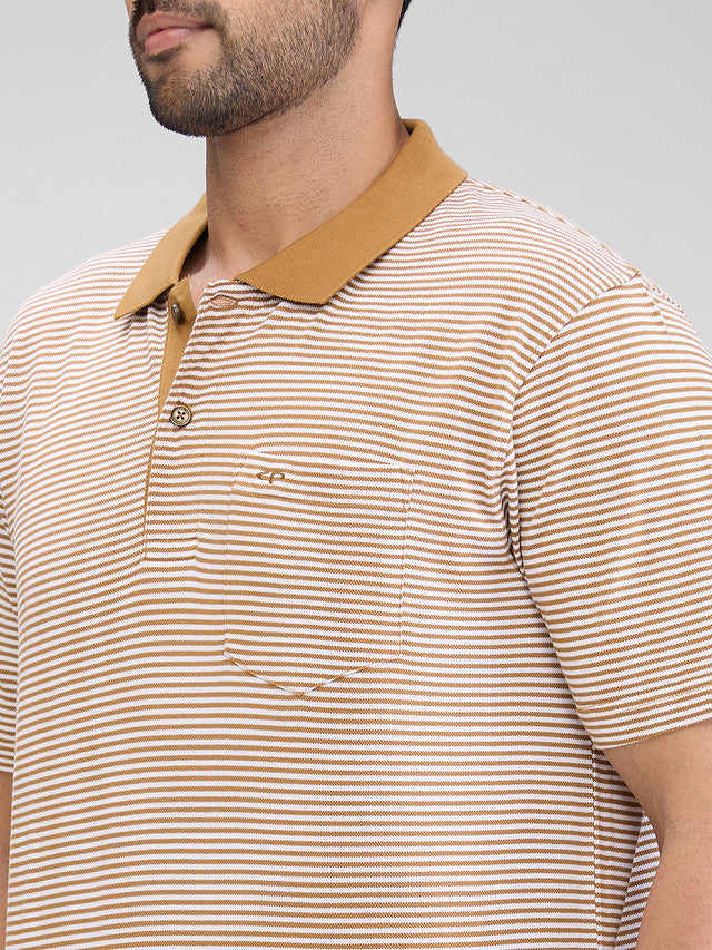 Colorplus Brown Stripe Comfort Fit Cotton T-Shirt