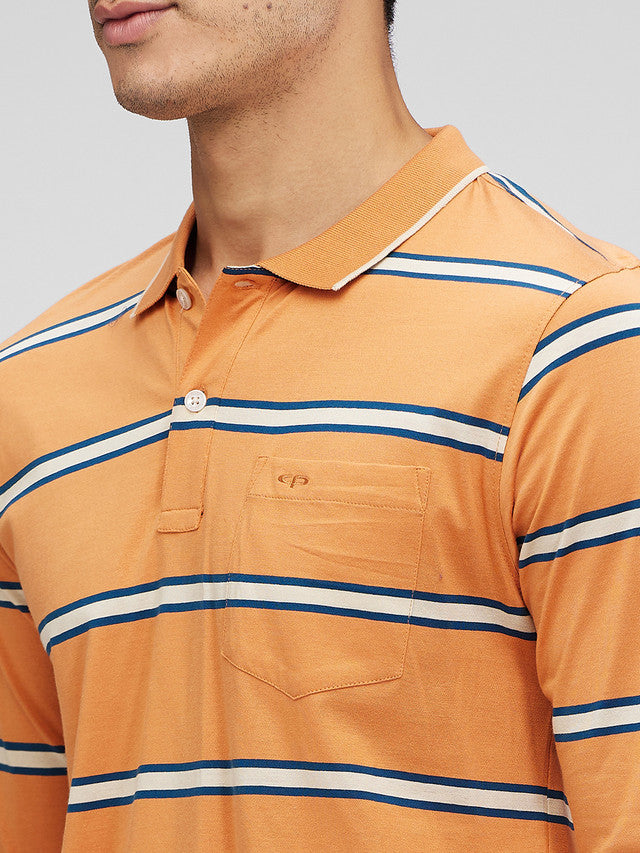 Colorplus Orange Stripe Regular Fit Full Sleeve Cotton T-Shirt