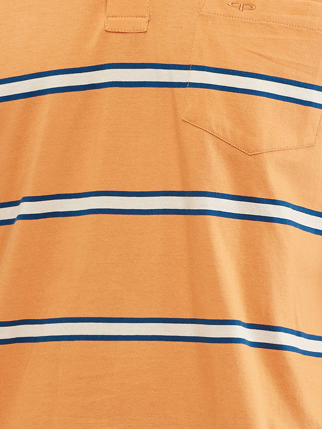 Colorplus Orange Stripe Regular Fit Full Sleeve Cotton T-Shirt