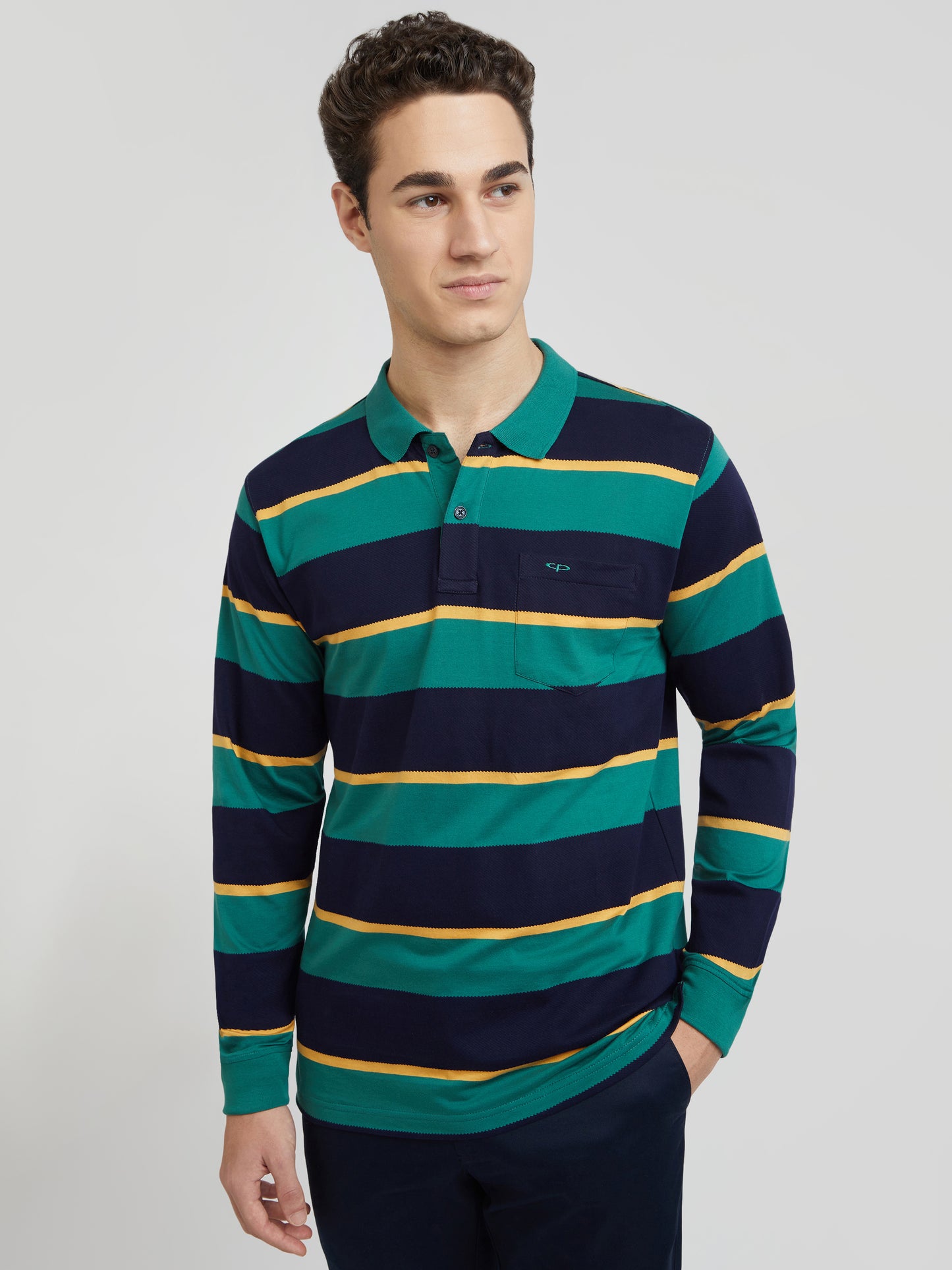 Colorplus Green Stripe Regular Fit Cotton T-Shirt