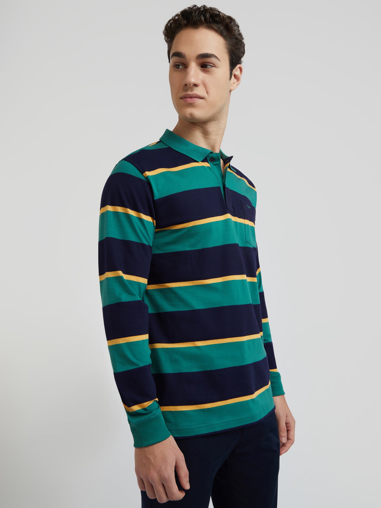 Colorplus Green Stripe Regular Fit Cotton T-Shirt