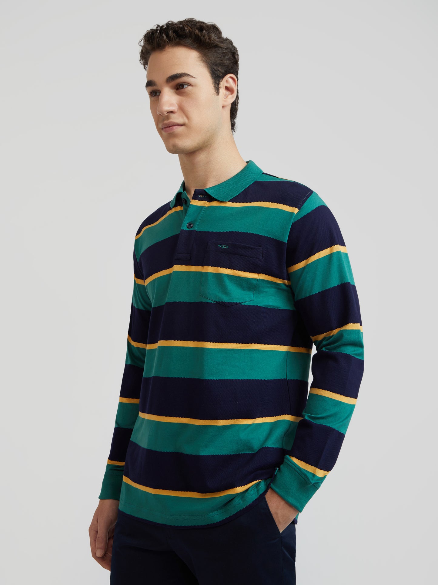 Colorplus Green Stripe Regular Fit Cotton T-Shirt