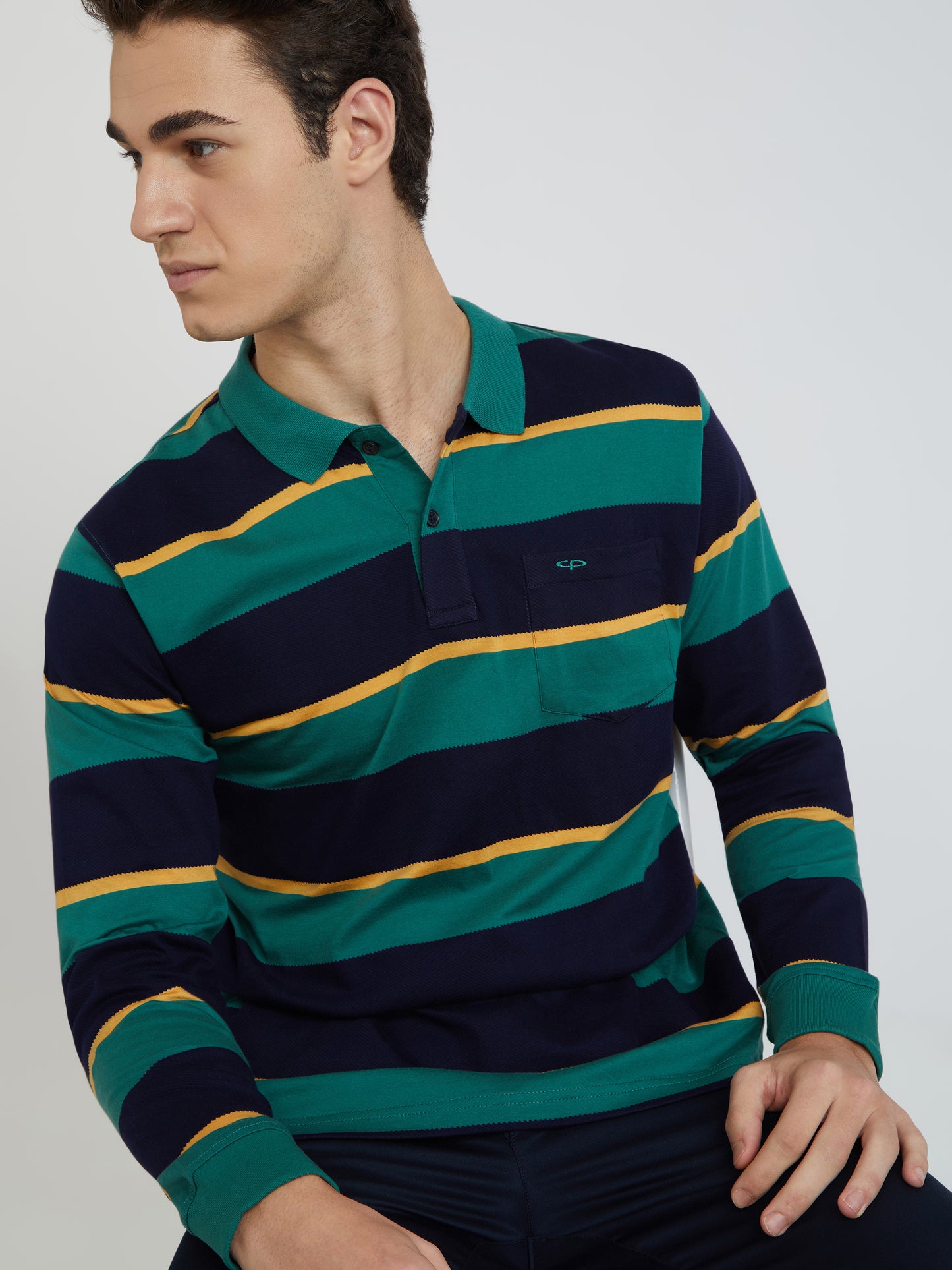 Colorplus Green Stripe Regular Fit Cotton T-Shirt