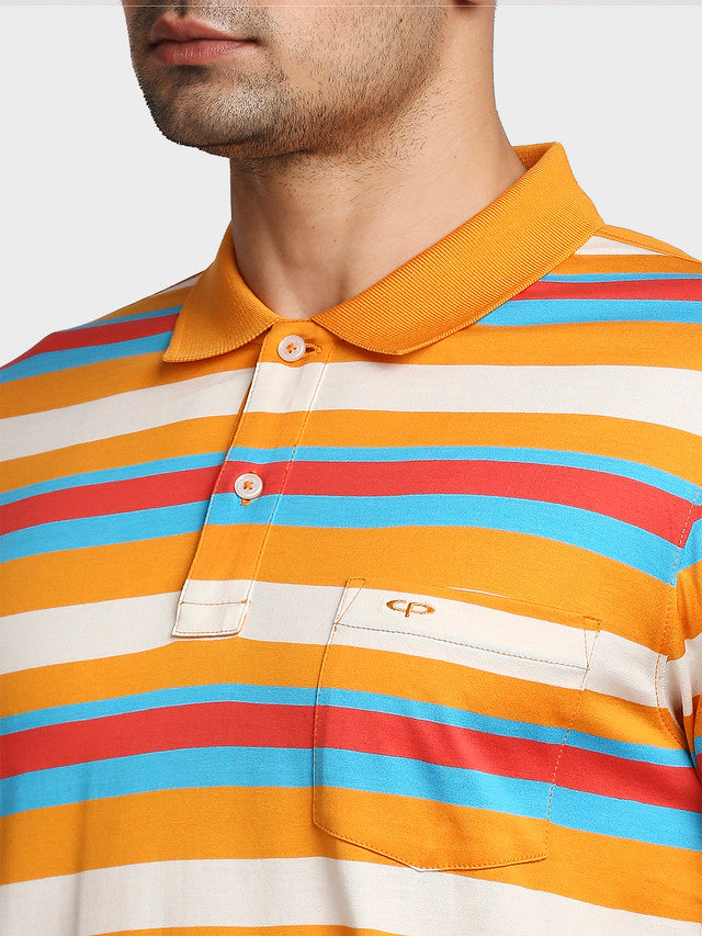 Colorplus Men Orange Striped Tailored Fit Half Sleeve Polo Neck T-Shirt