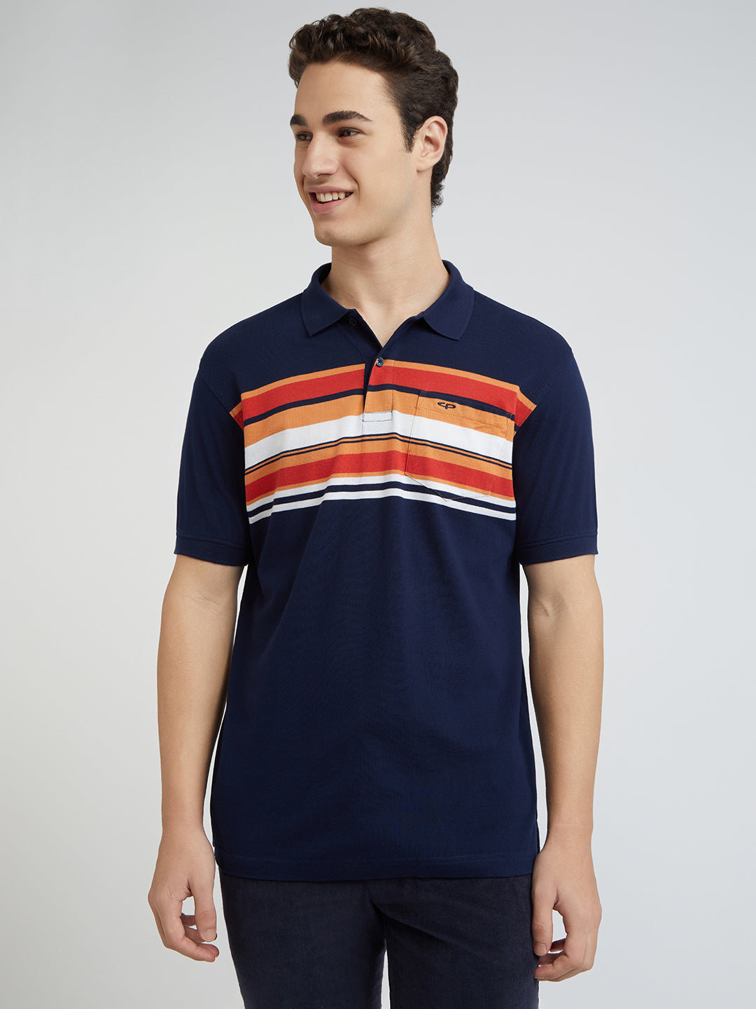 Colorplus Blue Stripe Regular Fit Cotton T-Shirt