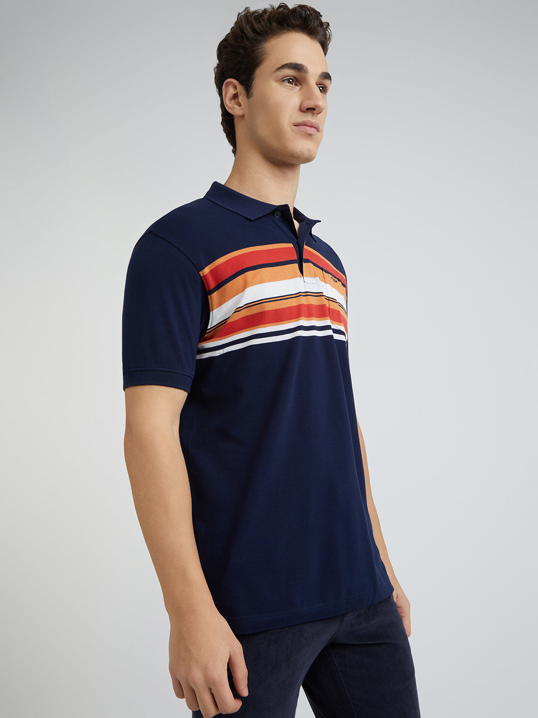 Colorplus Blue Stripe Regular Fit Cotton T-Shirt