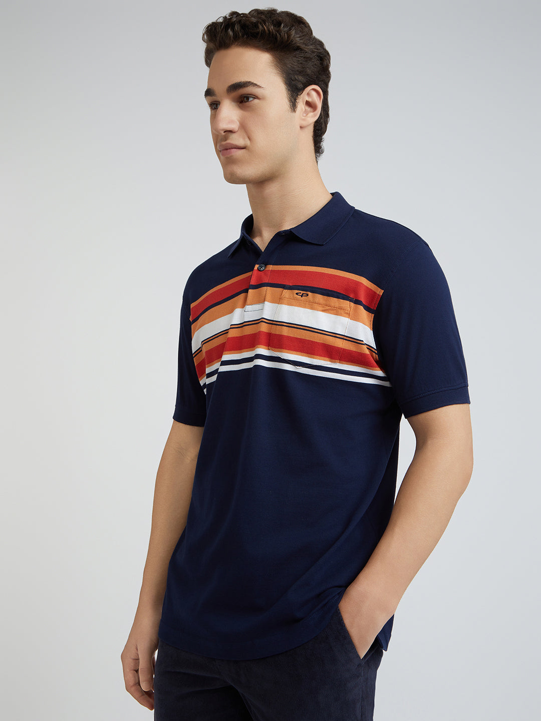 Colorplus Blue Stripe Regular Fit Cotton T-Shirt