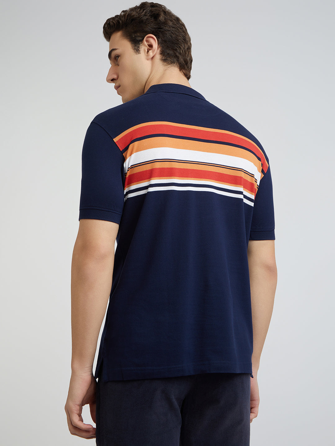 Colorplus Blue Stripe Regular Fit Cotton T-Shirt