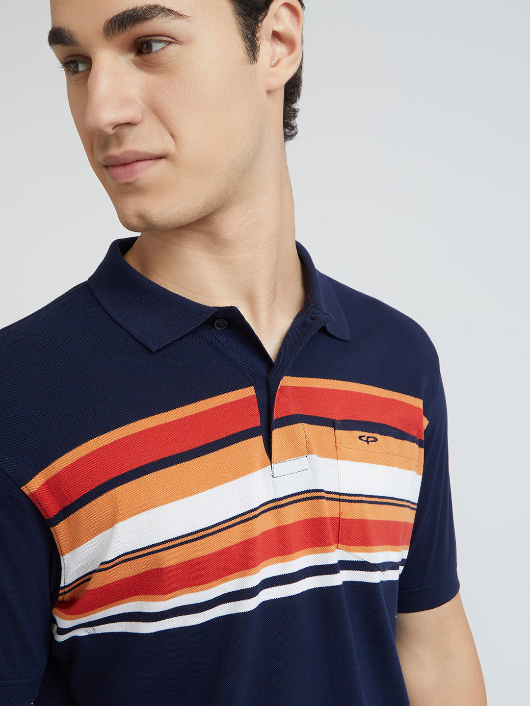 Colorplus Blue Stripe Regular Fit Cotton T-Shirt