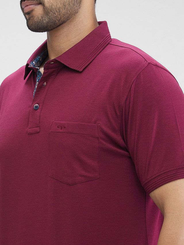 Colorplus Men Maroon Regular Fit Solid Polo Neck Collar T-Shirt