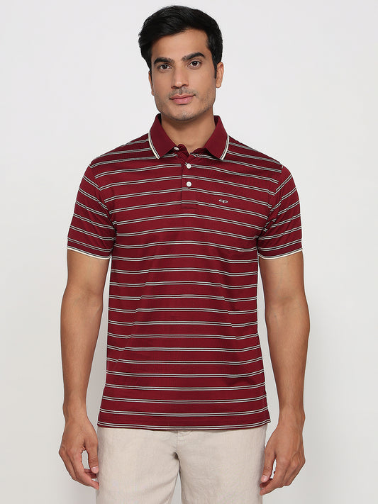 Colorplus Maroon T-shirt